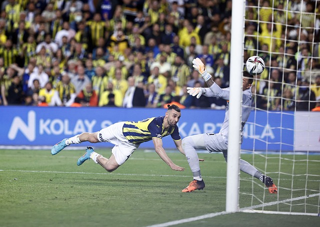 赛区组织者 赛区组织者